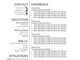 Black Student Union Resume Resume Templates by Samra Seifu issuu