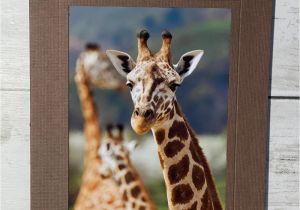 Blank Card with Photo Insert Pin On Photography Tips Ideas Products