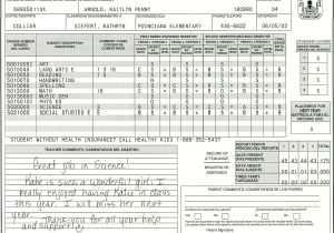 Blank High School Report Card Template Elementary School Report Card Template Report Card