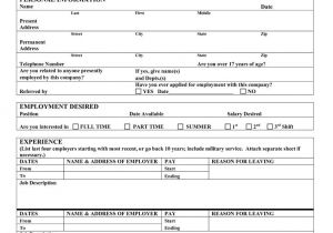 Blank Resume form for Job Application Pdf Blank Job Application Pdf Classroom forms Job