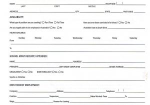 Blank Resume form for Job Application Printable Job Application forms Online forms Download and