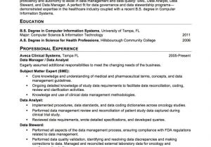 Blank Space at Bottom Of Resume the Example Clinical Data Manager Resume Accounting