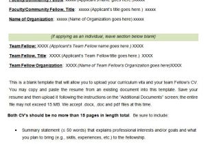 Blank Space On Resume 46 Blank Resume Templates Doc Pdf Free Premium