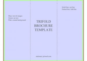 Blank Tri Fold Brochure Template Free Download Blank Tri Fold Brochure Template Word Blank Brochure