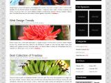 Blogsite Templates Blog Website Templates Learnhowtoloseweight Net