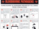 Bloodborne Pathogens Certificate Template 41 Best Saving Lives Images On Pinterest Health Nursing