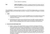 Board Member Contract Template Agreement for Chairman Of Board Of Directors Template