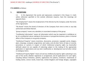 Board Of Directors Contract Template Directors Service Contract Tcw