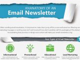 Boilerplate Email Template the Ultimate Email Newsletter Boilerplate Template