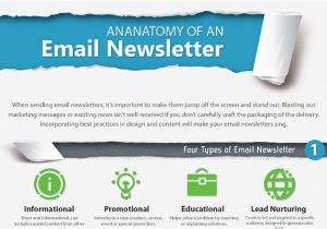 Boilerplate Email Template the Ultimate Email Newsletter Boilerplate Template