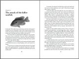 Book Writing Templates Microsoft Word Best Photos Of Book Template Microsoft Word Microsoft