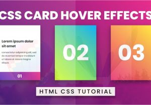 Bootstrap Card Border On Hover Css Card Hover Effects HTML Css