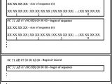 Border Crossing Card Document Number Data Collection and Preparation Of Training Samples for