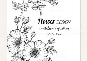 Border Design for Birthday Card Rose Flower Frame Drawing Illustration for Invitation and