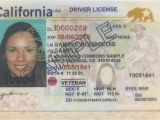 Border Security force Identity Card Californians Can Use Driver S License to Fly until Oct 1 2020