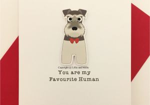 Border Terrier Father S Day Card Cute and Cuddly Sale