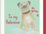 Border Terrier Father S Day Card Valentine Card Border Valentinecardhq