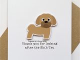 Border Terrier Thank You Card Cute and Cuddly Sale