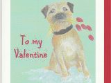 Border Terrier Thank You Card Valentine Card Border Valentinecardhq