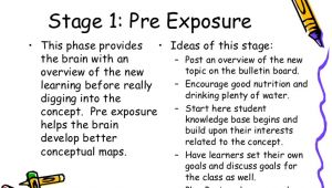 Brain Based Lesson Plan Template the 7 Stage Brain Based Learning Lesson Planning