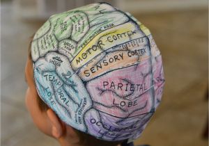 Brain Hat Template A School Of Fish Brain Hats Cerebral Cortex