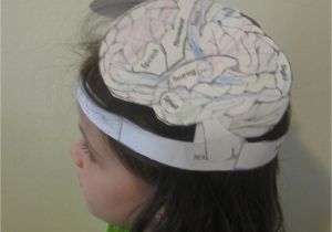 Brain Hat Template Jewish Homeschool In Nyc Sunday Science Brain Hat