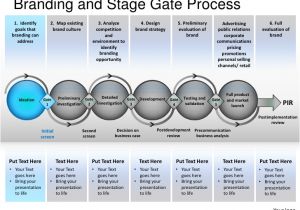 Brand Development Process Template Branding and Stage Gate Process Powerpoint Presentation