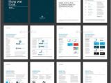 Brand Guidelines Template Pdf 23 Best Brand Guidelines Templates Psd Indesign