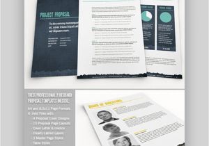 Brand Identity Proposal Template 20 top Graphic Design Branding Project Proposal Templates