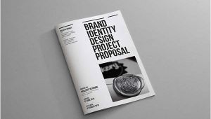 Brand Identity Proposal Template Brand Identity Proposal On Behance