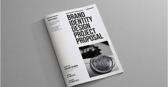 Brand Identity Proposal Template Brand Identity Proposal On Behance