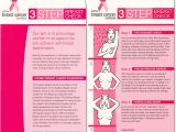 Breast Cancer Brochure Template Free Free Breast Cancer Brochures Renanlopes Me