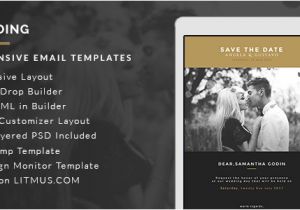 Bridesmaid Email Template Wedding Invitation Card Email Template Builder Access by