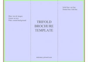 Brochure Templates Free Download for Word 2007 Blank Tri Fold Brochure Template Free Download theveliger