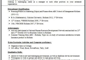 Bsc Fresher Resume format Download 100 Resume format for Experienced Sample Template Of A