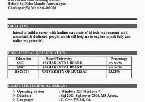 Bsc Fresher Resume format Download Bsc It Resume format