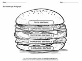 Burger Writing Template Hamburger Graphic organizers Hamburger Paragraph Template