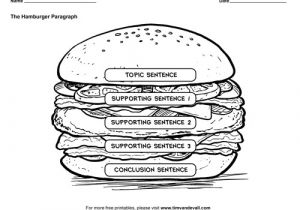 Burger Writing Template Hamburger Graphic organizers Hamburger Paragraph Template