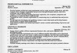 Business Analyst Resume Sample Business Analyst Resume Sample Writing Guide Rg