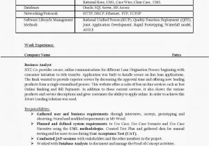 Business Analyst Resume Sample India H1b Sponsoring Desi Consultancies In the United States