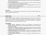 Business Analyst Resume Sample India H1b Sponsoring Desi Consultancies In the United States