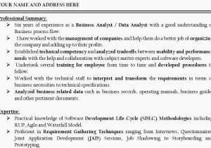 Business Analyst Resume Sample India H1b Sponsoring Desi Consultancies In the United States