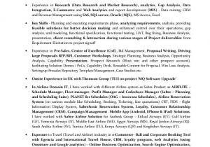 Business Analyst Resume Sample India Lead Business Analyst Resume Of Nitin Khanna