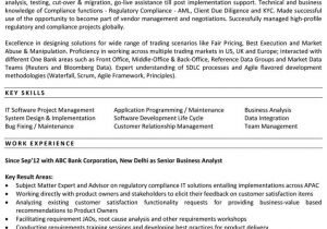 Business Analyst Resume Sample India Naukri Profile Summary Sample Ephesustour Cc