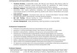 Business Analyst Resume Sample India Professional Resume for Experienced Business Analyst