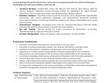 Business Analyst Resume Sample India Professional Resume for Experienced Business Analyst