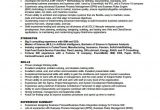 Business Analyst Resume Sample Pdf Business Analyst Resume Template 11 Free Word Excel