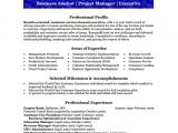 Business Analyst Resume Sample Pdf Sample Business Analyst Resume 8 Documents In Pdf Word