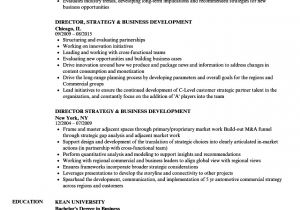 Business Development Resume Sample Business Development Resume Ipasphoto