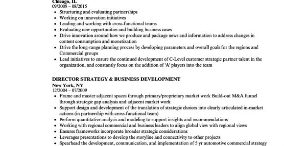 Business Development Resume Sample Business Development Resume Ipasphoto